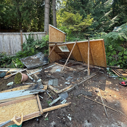 Demo & Haul - Shed Demolition