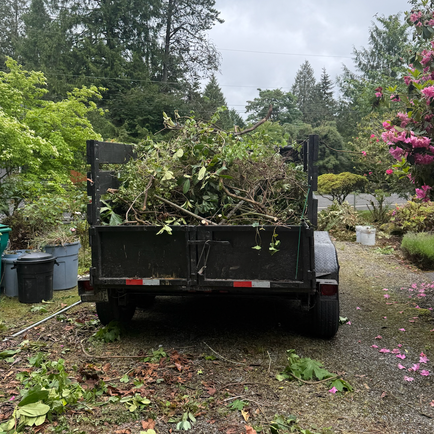 Yard Debris Cleanup